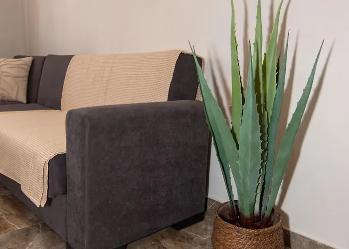 Steno Loft Apartment